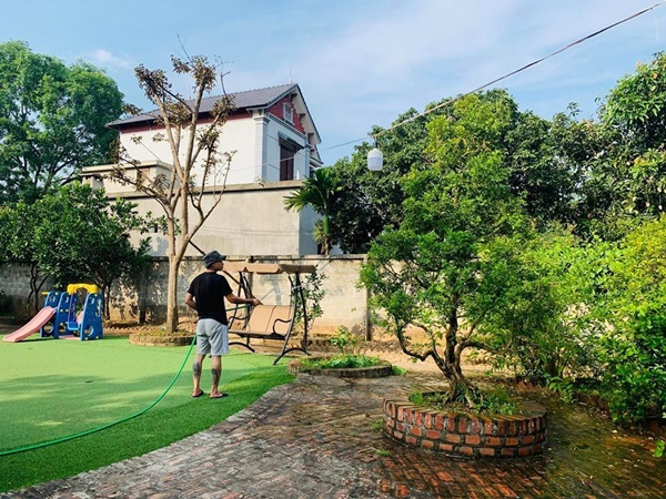 Hồng Đăng thu hoạch một ô tô sấu, xoài ở nhà vườn 1.300m2-6