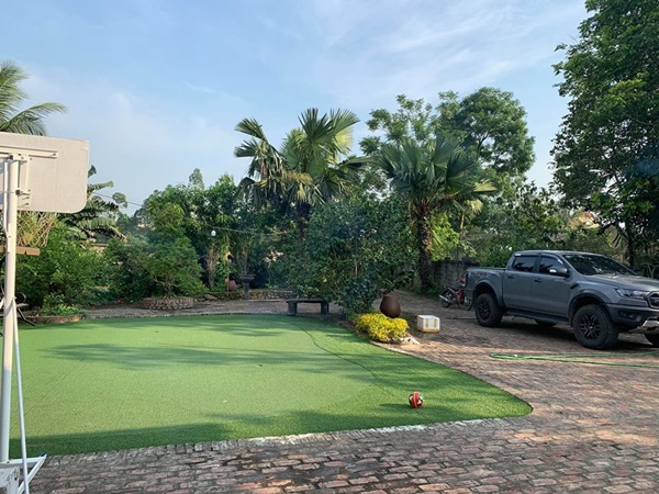 Hồng Đăng thu hoạch một ô tô sấu, xoài ở nhà vườn 1.300m2-9