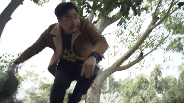 Về Nhà Đi Con tập 41: Nựng sai lúc, Xinh khiến Khải có nguy cơ phải vào tù vì tai nạn giao thông-5