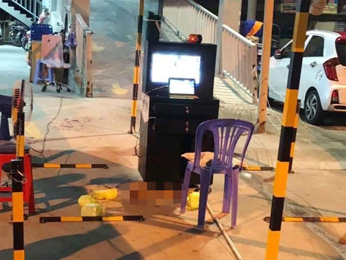 Bắt 2 kẻ chém đứt lìa tay bảo vệ chung cư Becamex ở Bình Dương-2