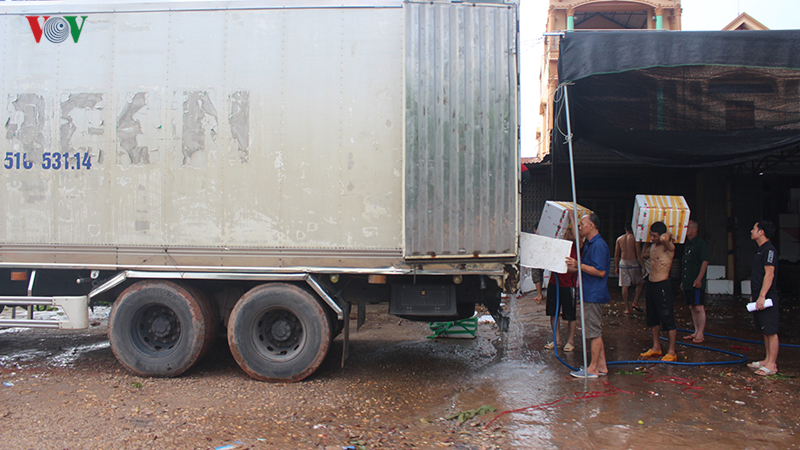 Lục Ngạn âu lo mùa vải chín-15