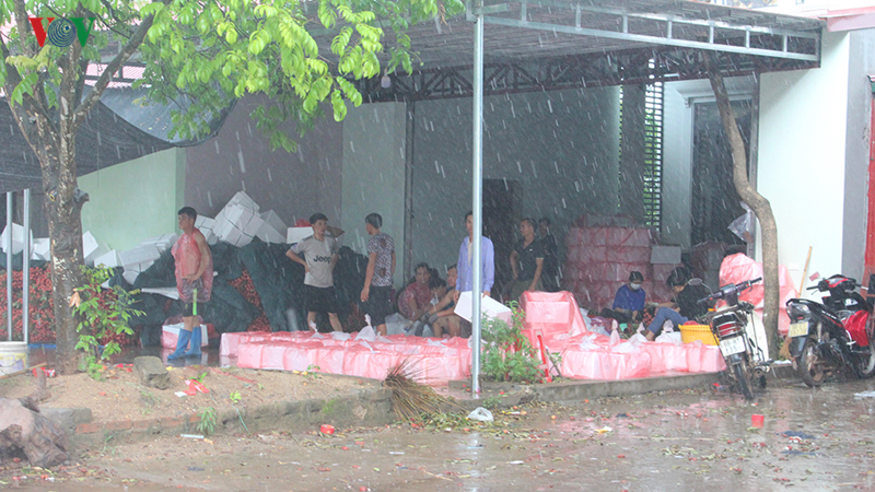 Lục Ngạn âu lo mùa vải chín-4