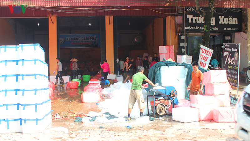 Lục Ngạn âu lo mùa vải chín-11