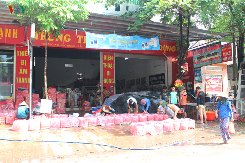 Lục Ngạn âu lo mùa vải chín-10