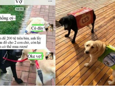 Vợ dặn đi mua quần áo cho cún cưng, anh chồng