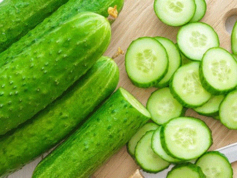 Hàng lạ Tây Bắc, dưa chuột khổng lồ to như chú lợn con-2