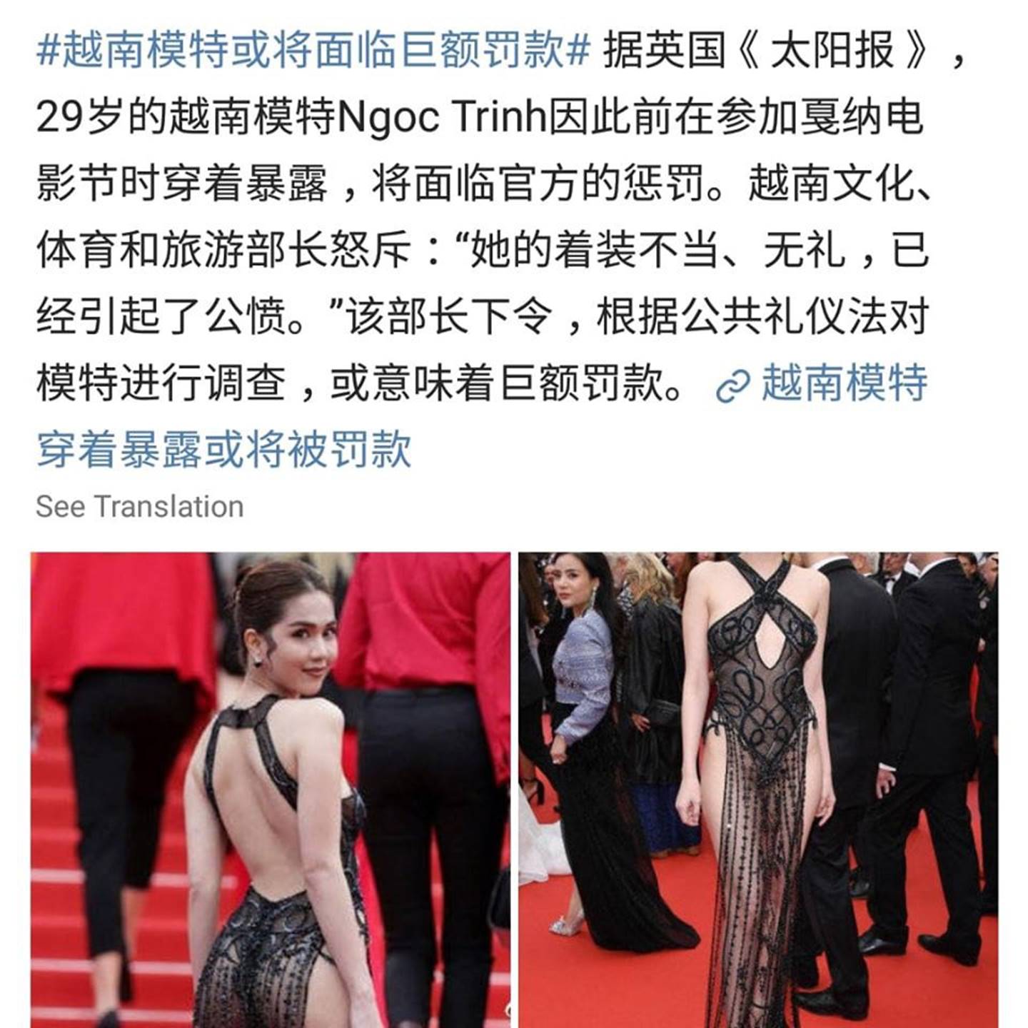 Dân mạng Trung Quốc bất ngờ bênh vực Ngọc Trinh sau thông tin có thể bị phạt tiền vì mặc hở tại Cannes-3