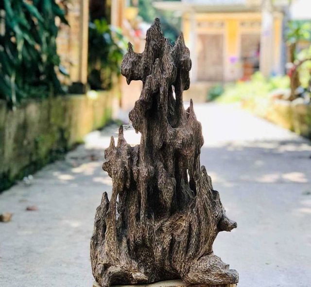 20 năm lặn lội, đại gia Hà thành ôm bộ sưu tập gỗ trầm lũa có 1 không 2-13