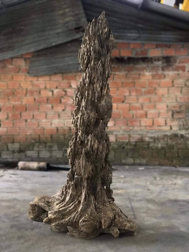 20 năm lặn lội, đại gia Hà thành ôm bộ sưu tập gỗ trầm lũa có 1 không 2-14