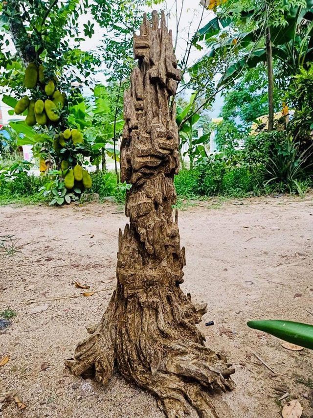 20 năm lặn lội, đại gia Hà thành ôm bộ sưu tập gỗ trầm lũa có 1 không 2-5