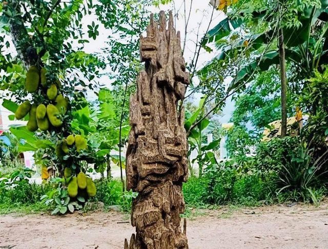 20 năm lặn lội, đại gia Hà thành ôm bộ sưu tập gỗ trầm lũa có 1 không 2-7