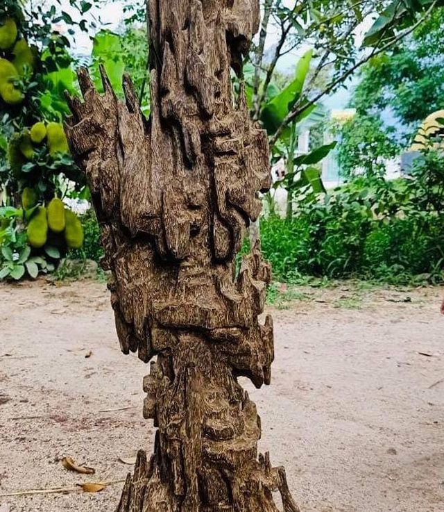 20 năm lặn lội, đại gia Hà thành ôm bộ sưu tập gỗ trầm lũa có 1 không 2-8