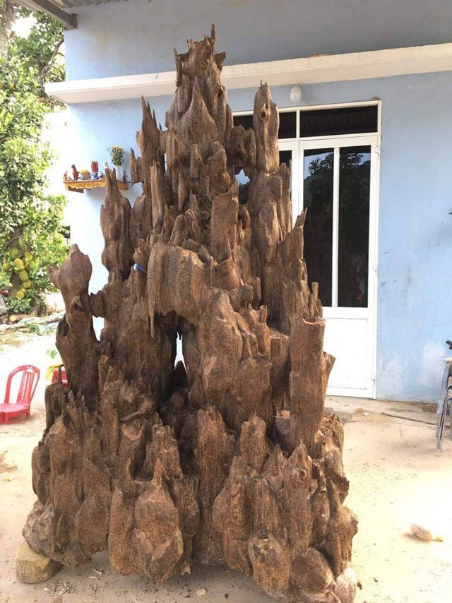 20 năm lặn lội, đại gia Hà thành ôm bộ sưu tập gỗ trầm lũa có 1 không 2-1