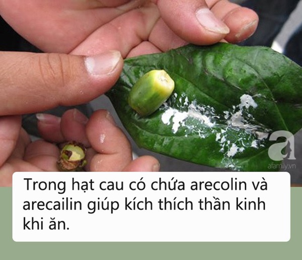 Loại quả người Mỹ, Canada cấm ăn vì ung thư còn người Việt lại mời nhau ăn thật nhiều-1
