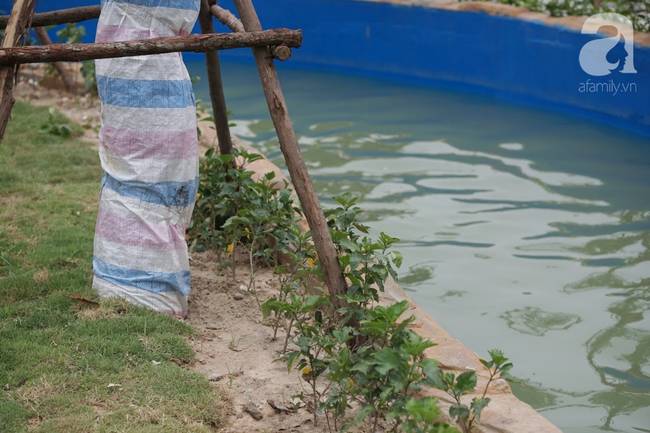 Mới khai trương hơn 1 ngày, công viên nước lớn nhất Thủ đô đã đục ngầu như ao, rác nổi lềnh phềnh bể bơi-10