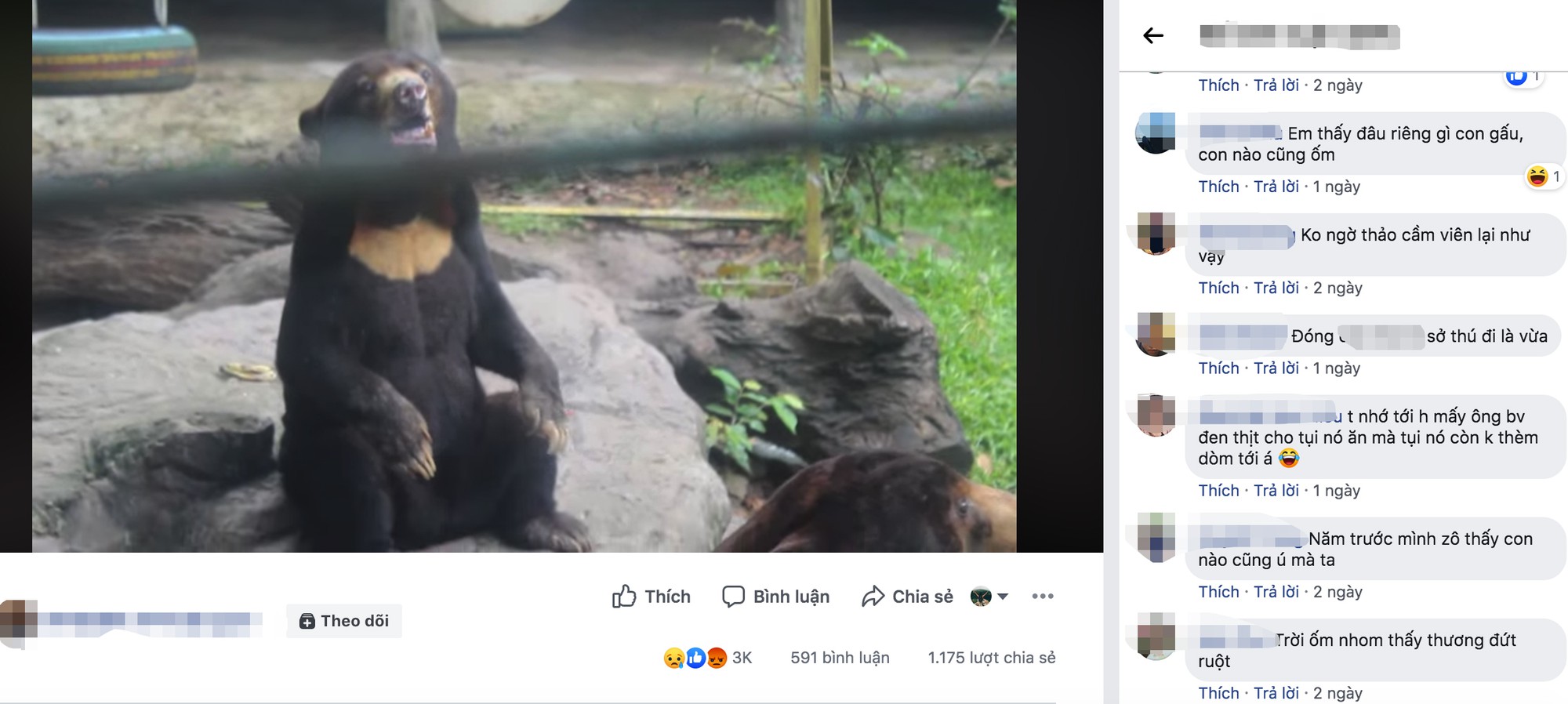 Xuất hiện đoạn clip tố Thảo Cầm Viên bỏ đói gấu đến gầy trơ xương, phải xin ăn khách tham quan: Sự thật là gì?-2