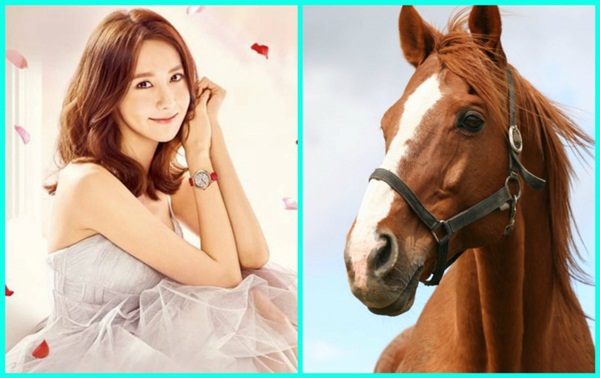 Số trời đã định: Phụ nữ tuổi này sinh con năm 2019 thì tài lộc đầy nhà, may mắn tự tìm đến gõ cửa-2