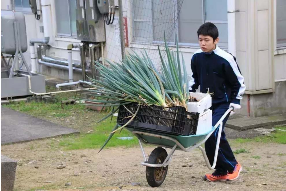 Toàn bộ giáo viên dồn sức dạy học sinh duy nhất của trường-12