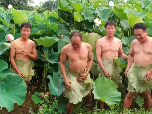 Giữa bão chụp ảnh hoa sen, lại xuất hiện chàng trai khoe thân ở bãi khoai nước khiến dân mạng cạn lời-3