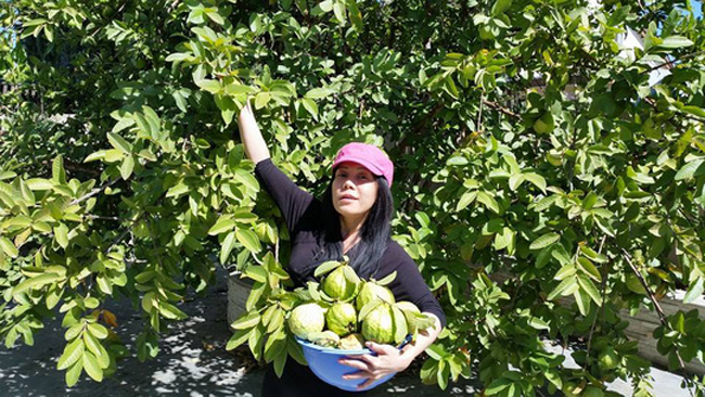 Đọ biệt thự sang chảnh bên Mỹ của 2 nữ danh hài nổi tiếng miền Nam-15