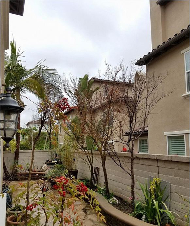 Đọ biệt thự sang chảnh bên Mỹ của 2 nữ danh hài nổi tiếng miền Nam-5