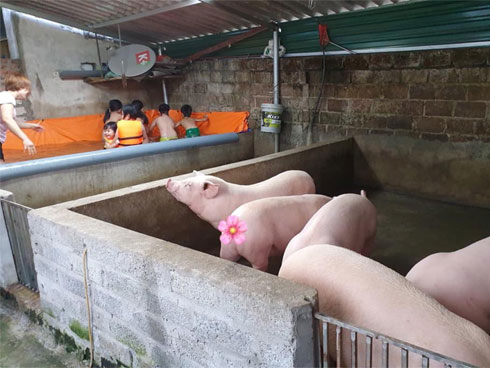 Dân mạng xôn xao câu chuyện chủ tịch lái xe hơi tiền tỷ vào hầm, thay vest bằng áo Grab rồi lên đường chạy xe ôm?-4