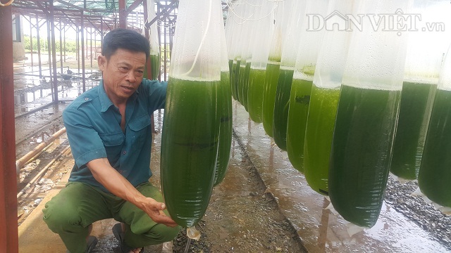 Chuyện lạ Thái Bình, chế ngàn lít nước xanh lè, rót bán hàng tỷ đồng-1
