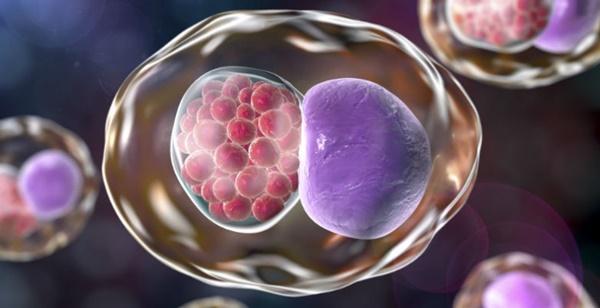 Quan hệ đường miệng - một trong những hành vi dễ lây lan bệnh tình dục và đây là loạt bệnh bạn cần biết-3