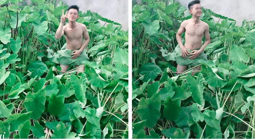Giữa bão chụp ảnh hoa sen, lại xuất hiện chàng trai khoe thân ở bãi khoai nước khiến dân mạng cạn lời-2