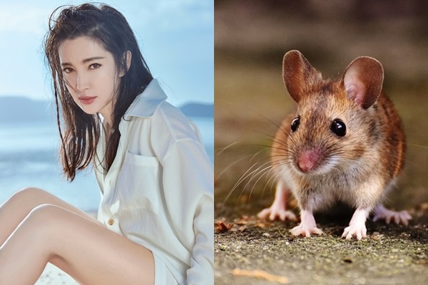 Mùa hè càng nóng, 3 con giáp này càng được tắm mát bởi cơn mưa tiền bạc-1