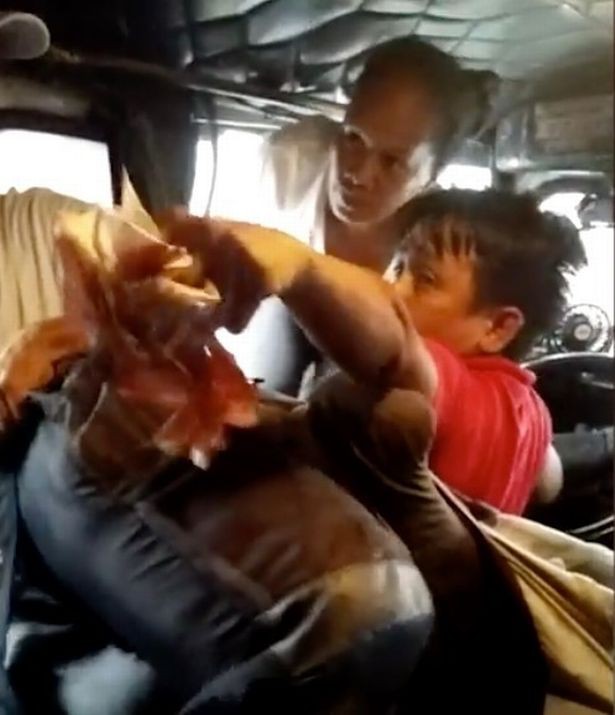 Màn đánh ghen gây náo loạn chiếc xe buýt: Vợ nhảy lên ghế lái phang tới tấp vào mặt chồng rồi hét tôi đẻ cho ông 12 đứa con rồi còn muốn gì nữa-2