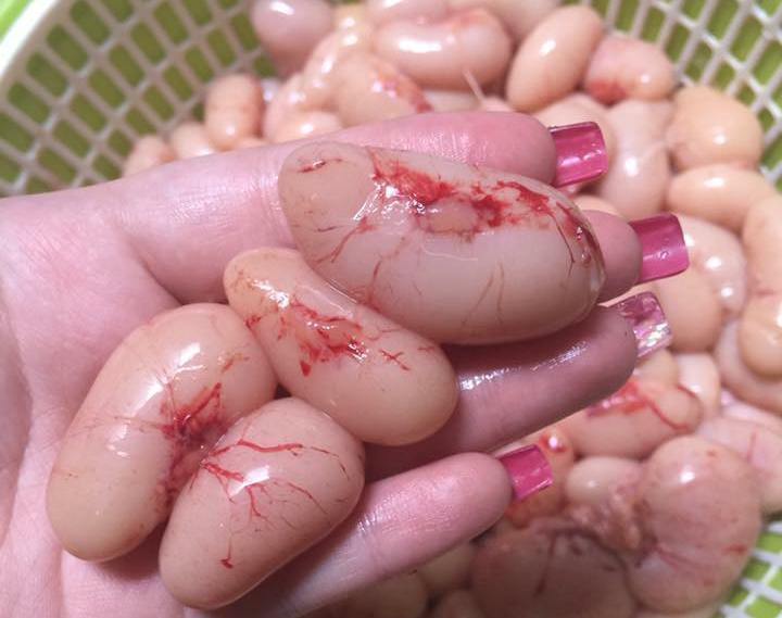 Ngọc kê tiến vua tiền triệu, đại gia tẩm bổ như thần dược-1