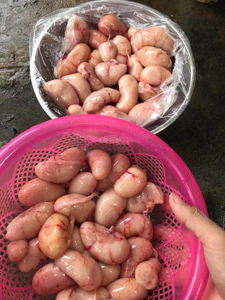 Ngọc kê tiến vua tiền triệu, đại gia tẩm bổ như thần dược-2