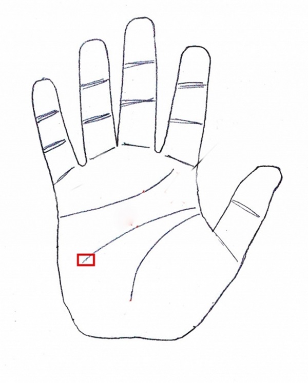 Lộ diện bàn tay bát phương tụ tài, quý nhân theo gót từ nhỏ, càng lớn tuổi càng dễ phát tài-3