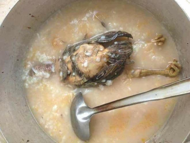 Những nồi cháo khiến người ăn có số nhọ hơn cả Chí Phèo, bỏ thì thương, vương thì tội-7