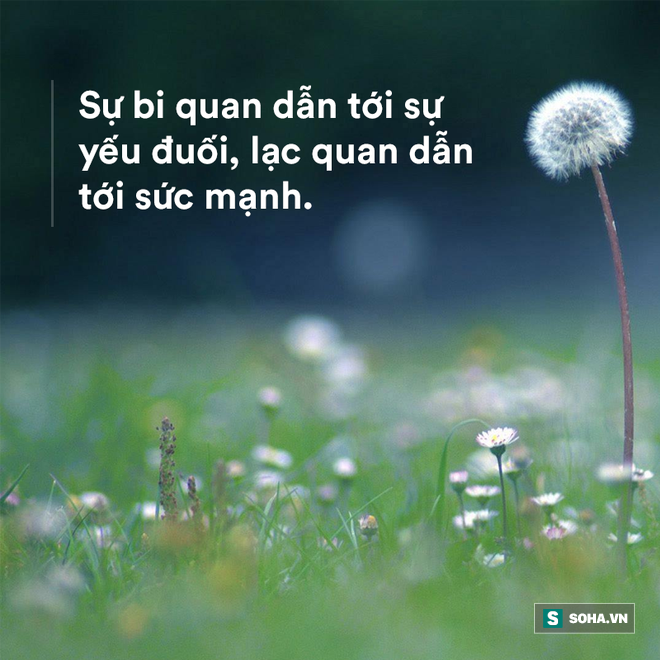 Người thông minh thực sự luôn có 6 đặc điểm này, hãy xem bạn sở hữu bao nhiêu trong số đó!-2