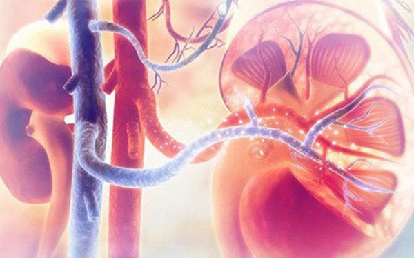 5 tín hiệu cấp báo của cơ thể nhắc bạn: Thận đang bị đe doạ, hãy nhanh chóng đi gặp bác sĩ-1