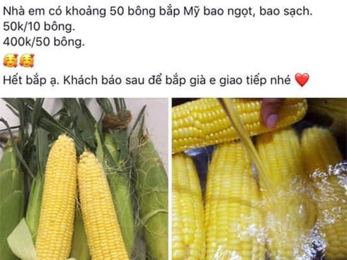 Bán 10 trái bắp giá 50 ngàn, nhưng khi mua số lượng lớn, cô gái lại tính tiền như thế này khiến dân mạng 