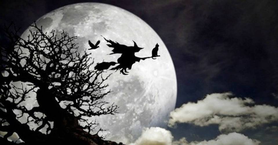 Dị nhân đuổi mưa Nguyễn Vũ Tuấn Anh: Hô mưa gọi gió là năng lực con người có thể làm được, nhưng Đặng Lê Nguyên Vũ thì tôi tin là không-4