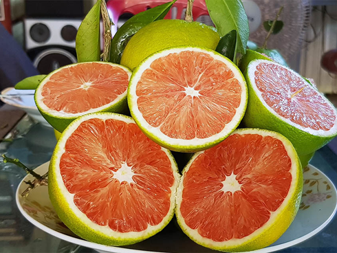 Hoa hiên mùa hè giá tiền triệu, đặc sản mỗi năm chỉ có một lần-5