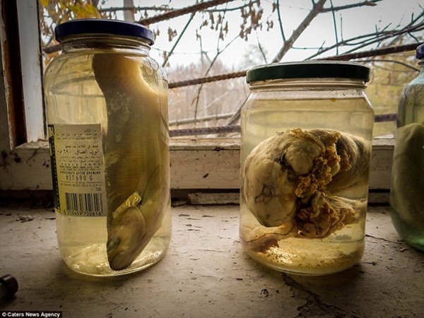 Từ vùng đất ma không ai dám bén mảng, nhà máy điện hạt nhân Chernobyl bỗng hóa xứ sở thần tiên đẹp lịm tim qua lăng kính của nhiếp ảnh gia-3