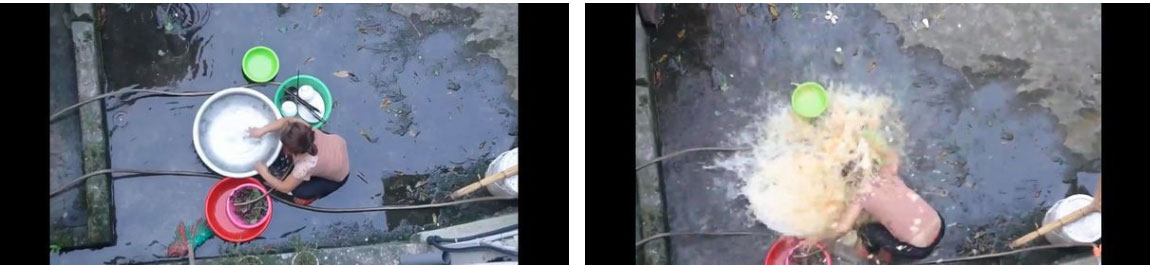 Thêm clip đổ trứng vào đầu người lạ khiến MXH phẫn nộ: Nạn nhân là cô hàng xóm, chủ nhân của trò đùa xin lỗi bằng 500k-1