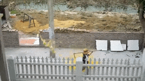 Thêm clip đổ trứng vào đầu người lạ khiến MXH phẫn nộ: Nạn nhân là cô hàng xóm, chủ nhân của trò đùa xin lỗi bằng 500k-5