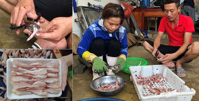 Thực hư đặc sản cá đùi gà 1 nắng Nghệ An làm giả từ cá nóc?-3
