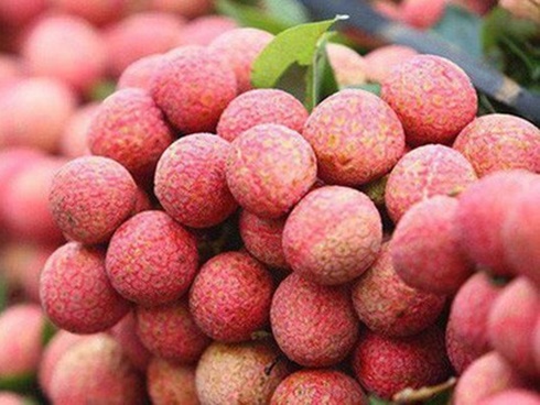 Giữa đất Lục Ngạn, 12 quả vải giá 200 ngàn vẫn phải cười tươi-3