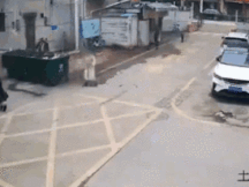 Bố giúp con gái đỗ xe và cái kết không thể ngờ