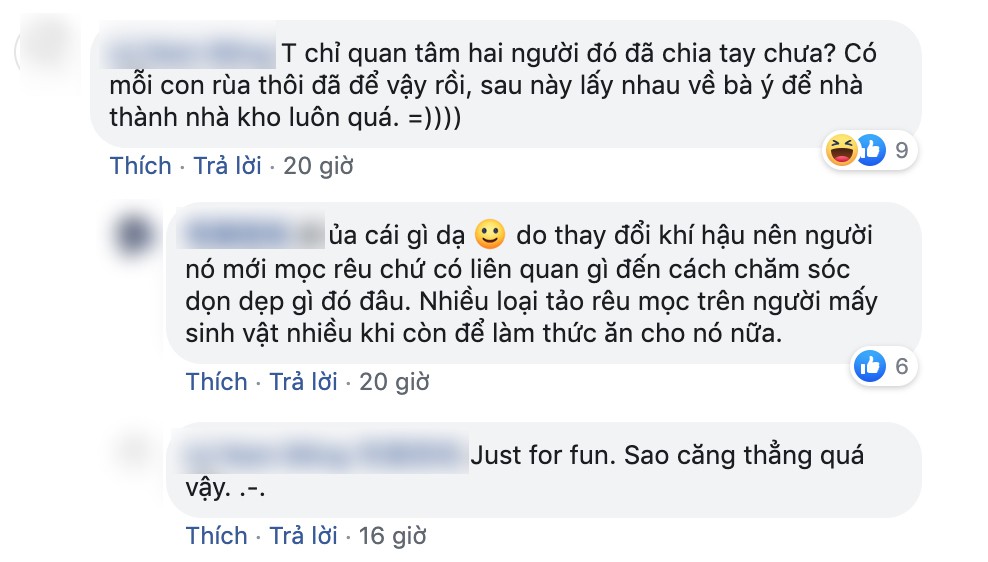 Chàng trai nhờ bạn gái chăm sóc rùa cưng vì bận đi công tác và cái kết bàng hoàng, dân mạng chỉ hỏi đúng một câu-3