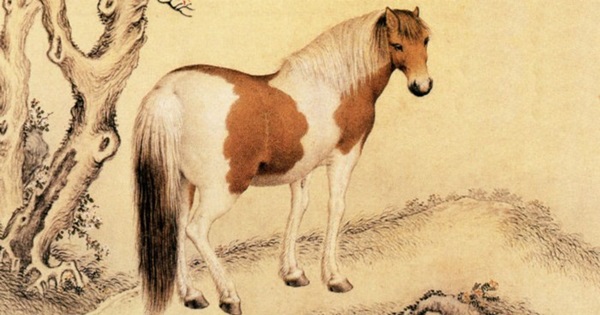 45 ngày tới: 3 con giáp càng rời xa thị phi càng giàu, tiền nhiều như cây mùa trút lá nhiều người ghen tỵ-3