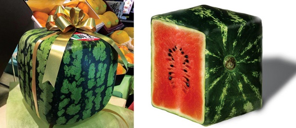 Những loại trái cây giá trên trời, gấp cả trăm lần quả vải thiều Shintomi 240.000 đồng/quả, có loại cả trăm triệu đồng-2