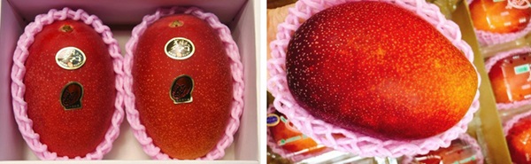 Những loại trái cây giá trên trời, gấp cả trăm lần quả vải thiều Shintomi 240.000 đồng/quả, có loại cả trăm triệu đồng-4